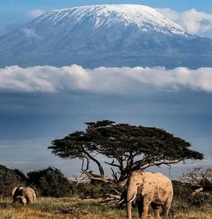 Amboseli
