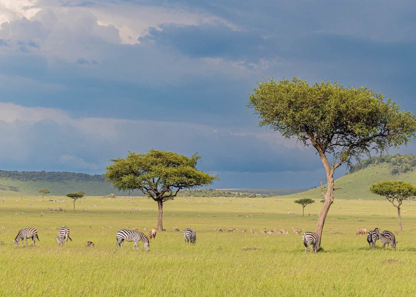 Kenia