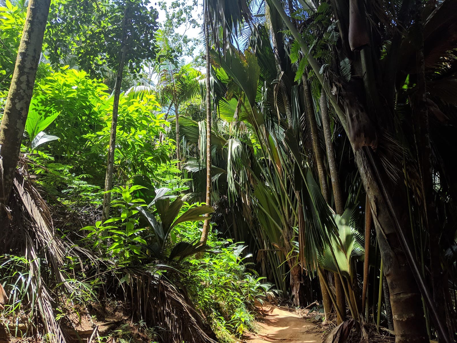 Seychellen
