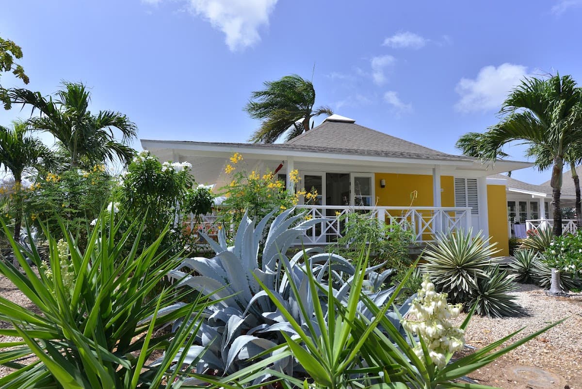 Chogogo Dive & Beach Resort Curacao