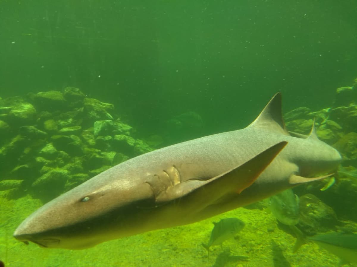 Acuario Mundo Marino