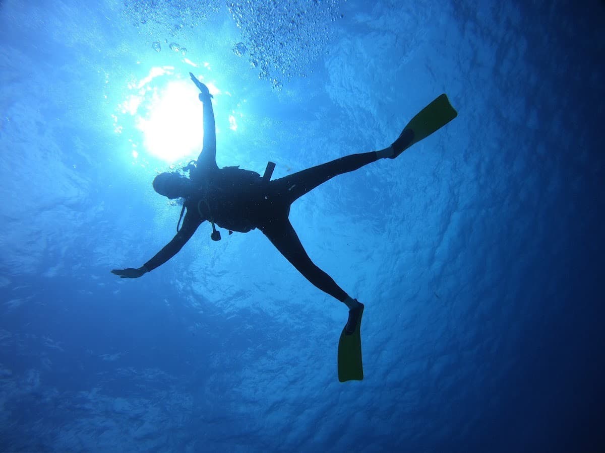 Barefoot Dive Center Cozumel