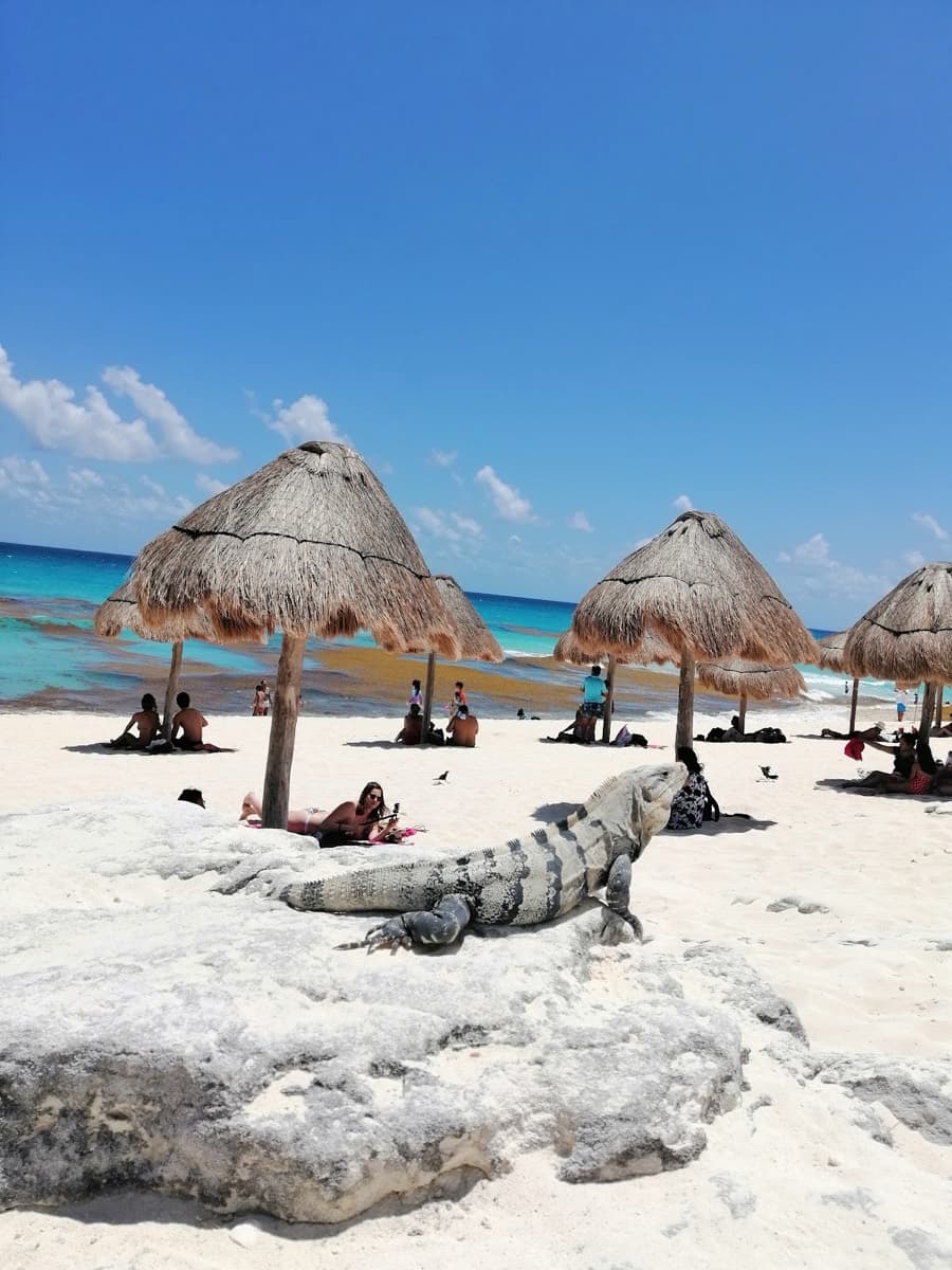 Cancun