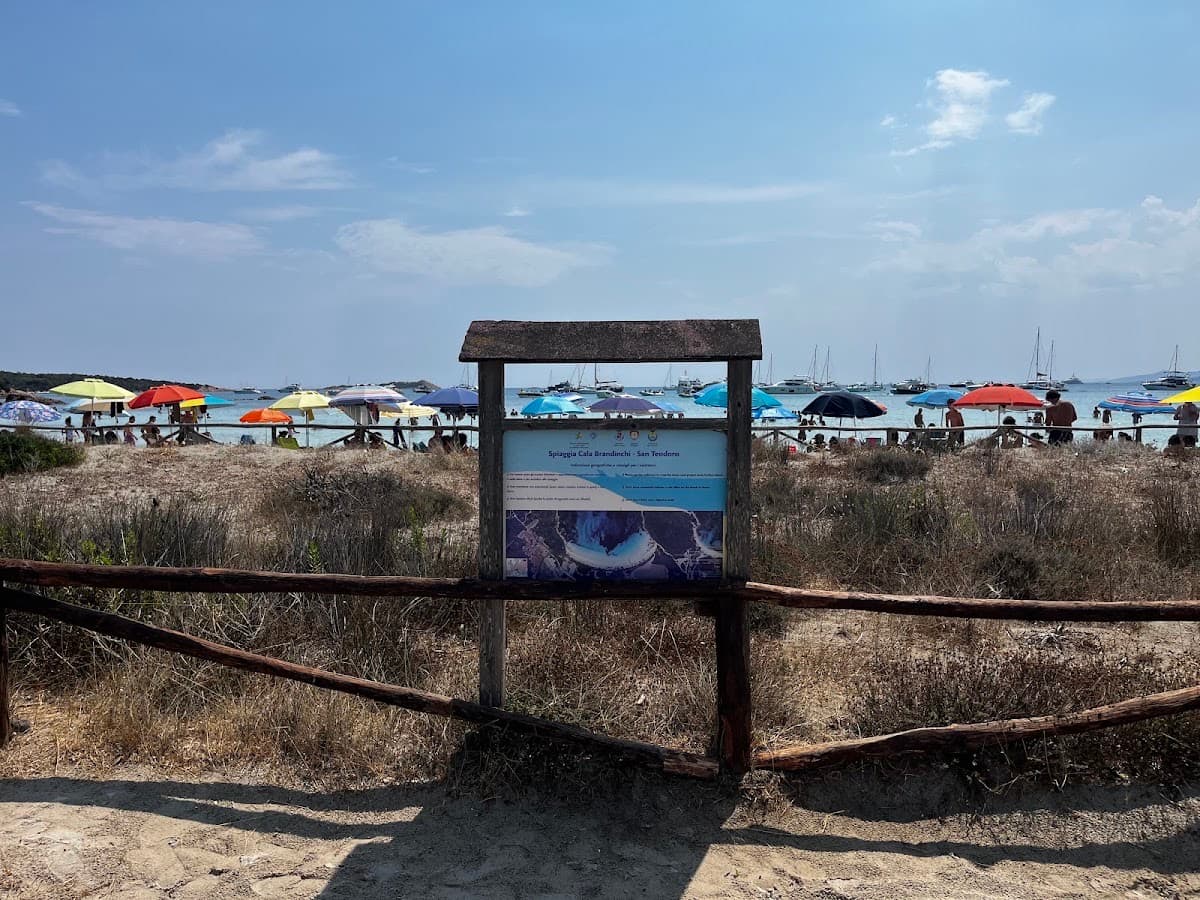 Spiaggia Cala Brandinchi