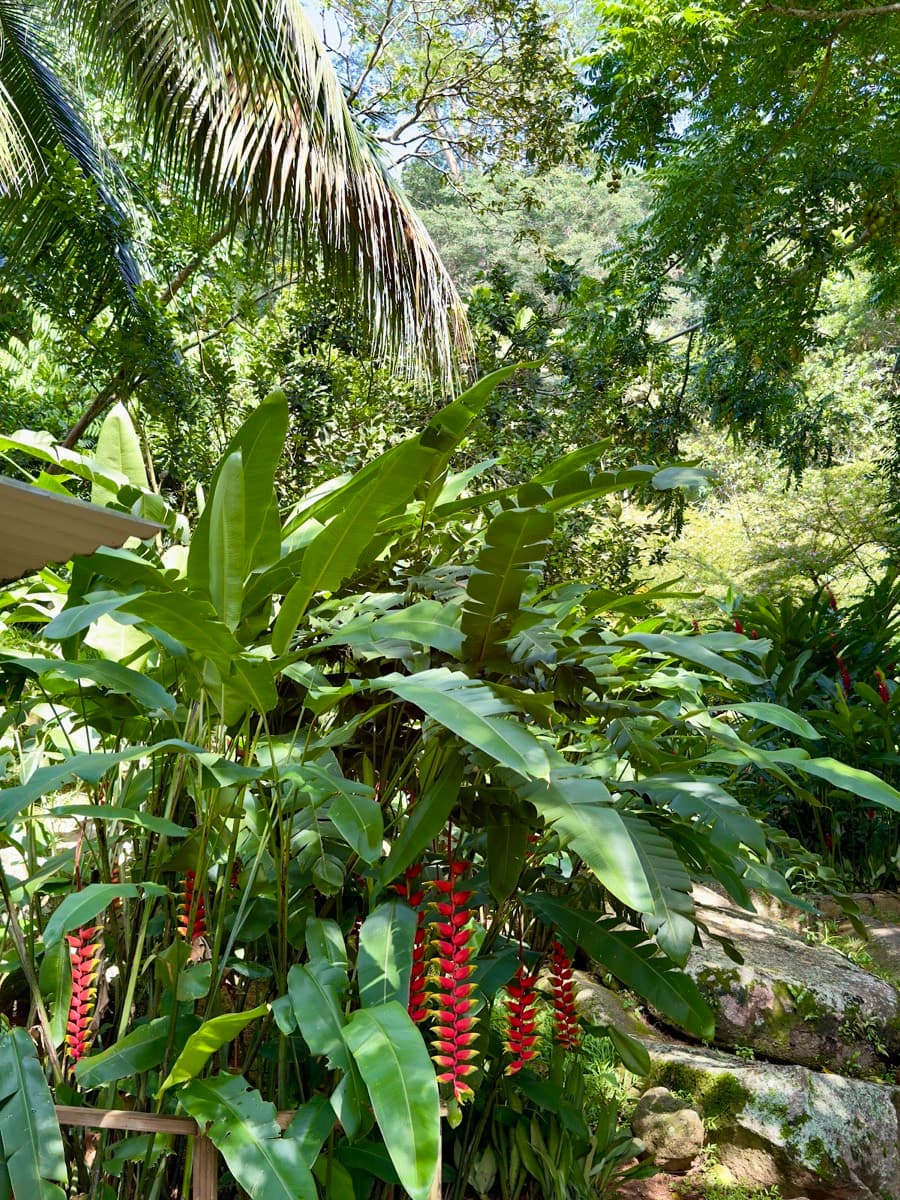 Jardin du Roi Spice Garden