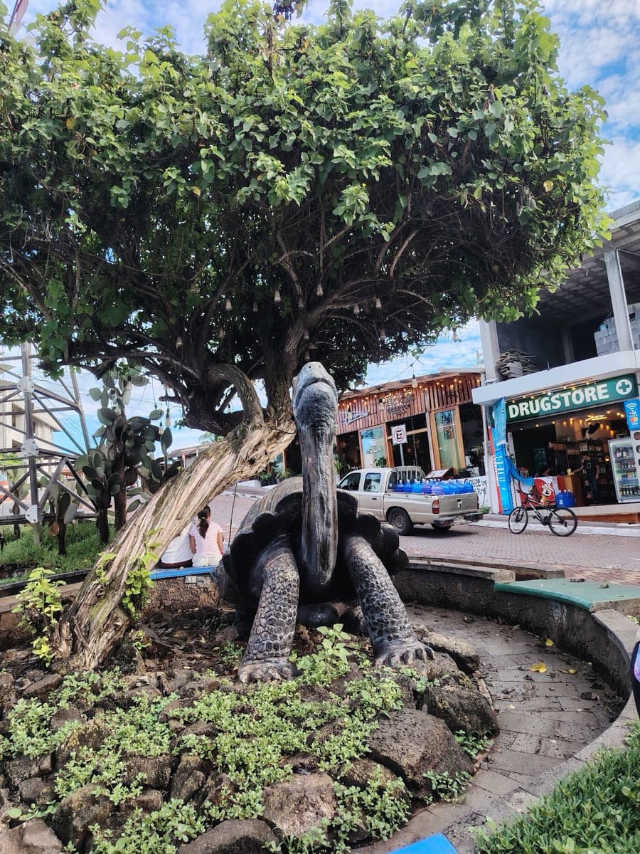 Monumento de tortuga