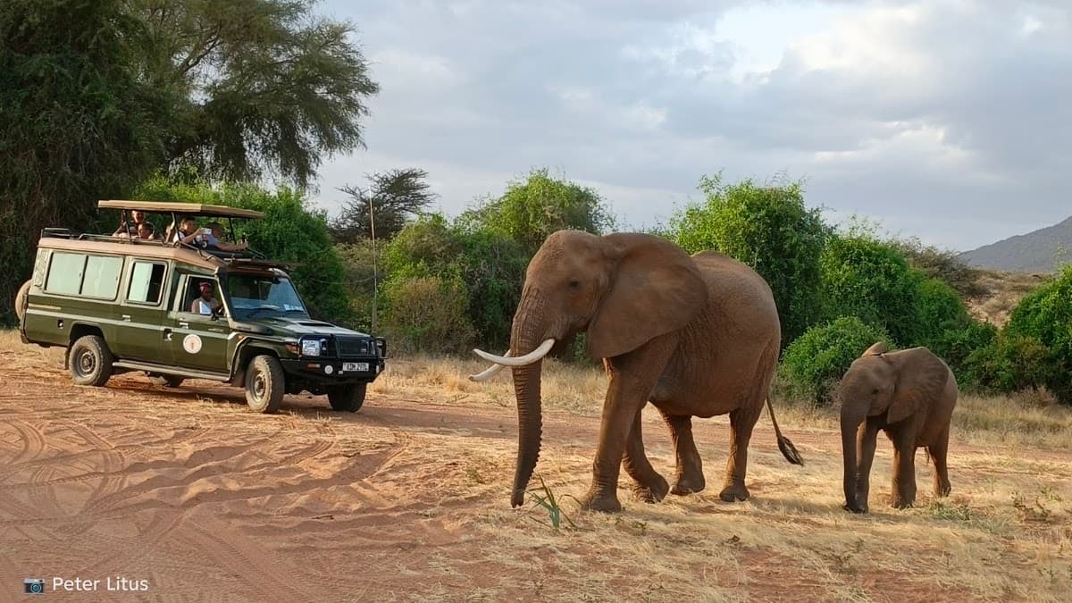 Samburu National Reserve