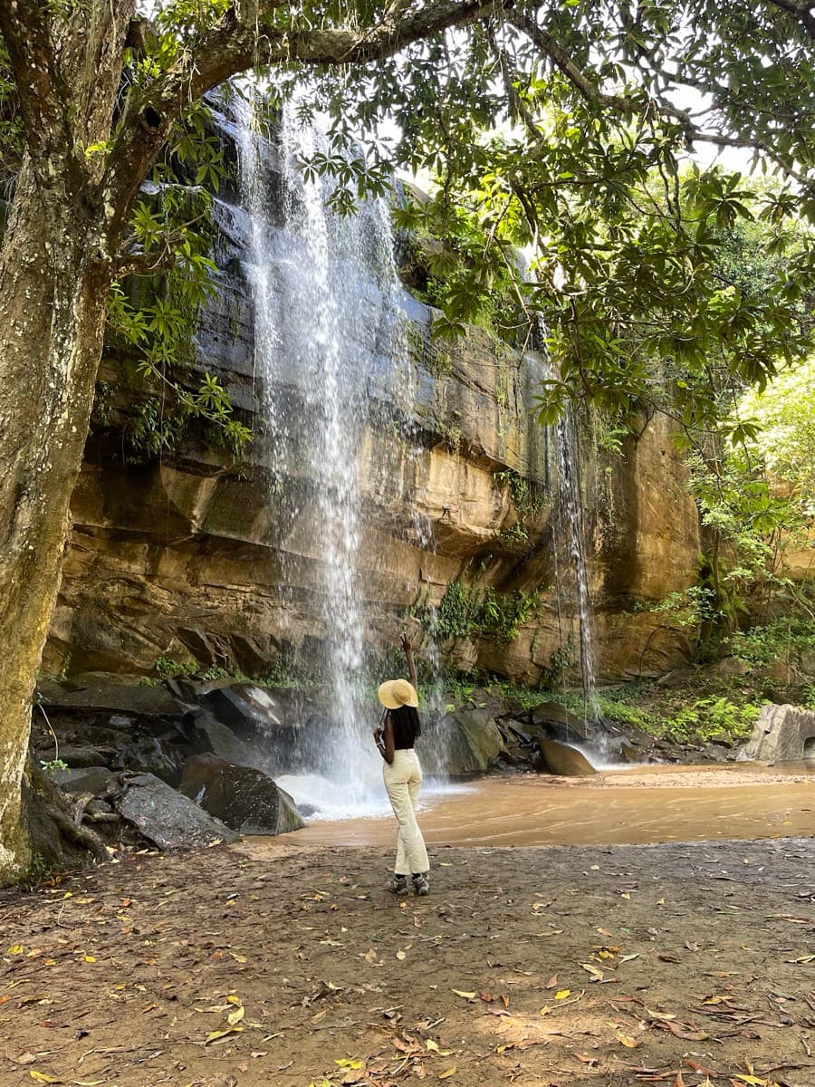Sheldrick's Falls