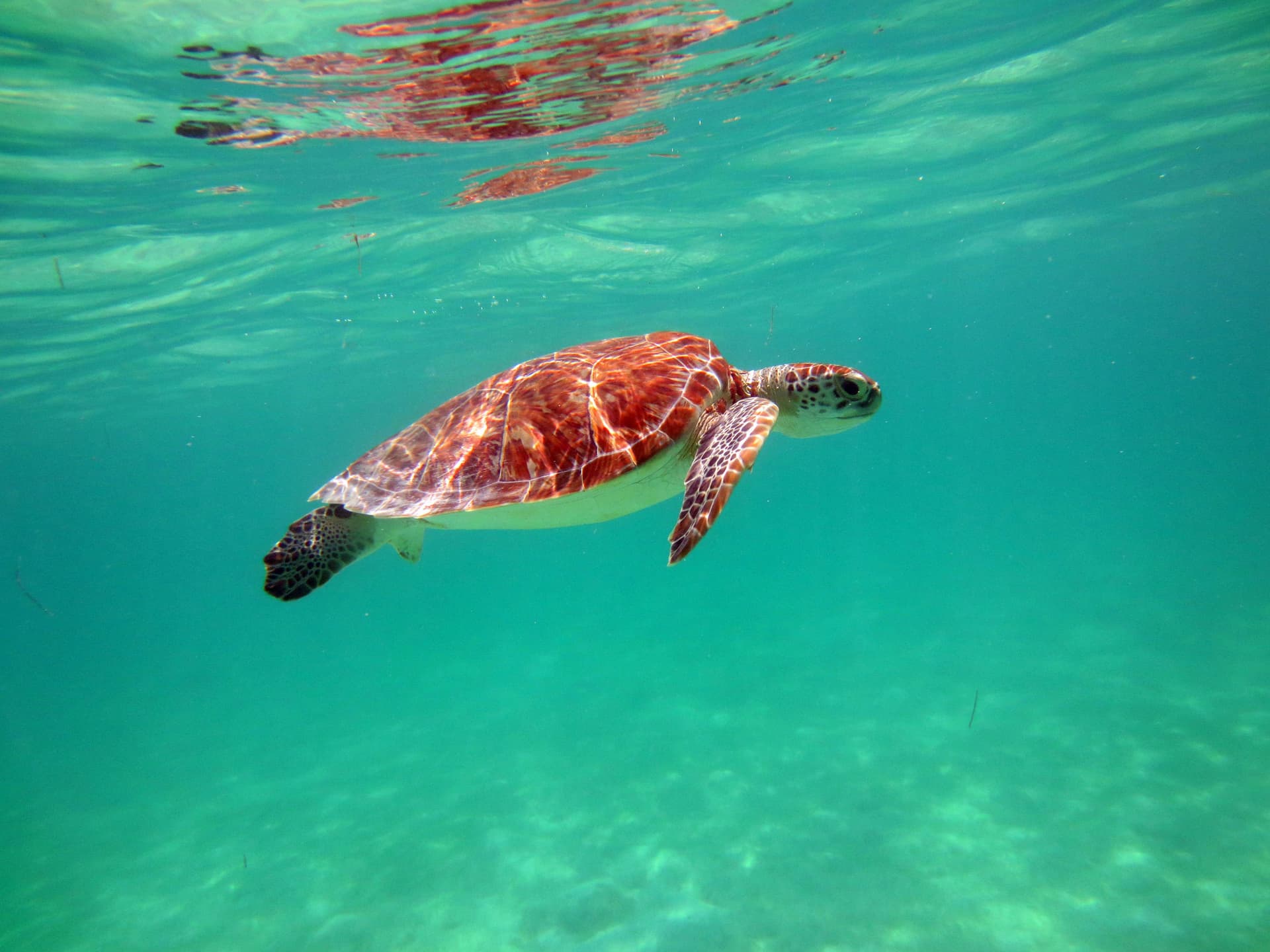 Akumal