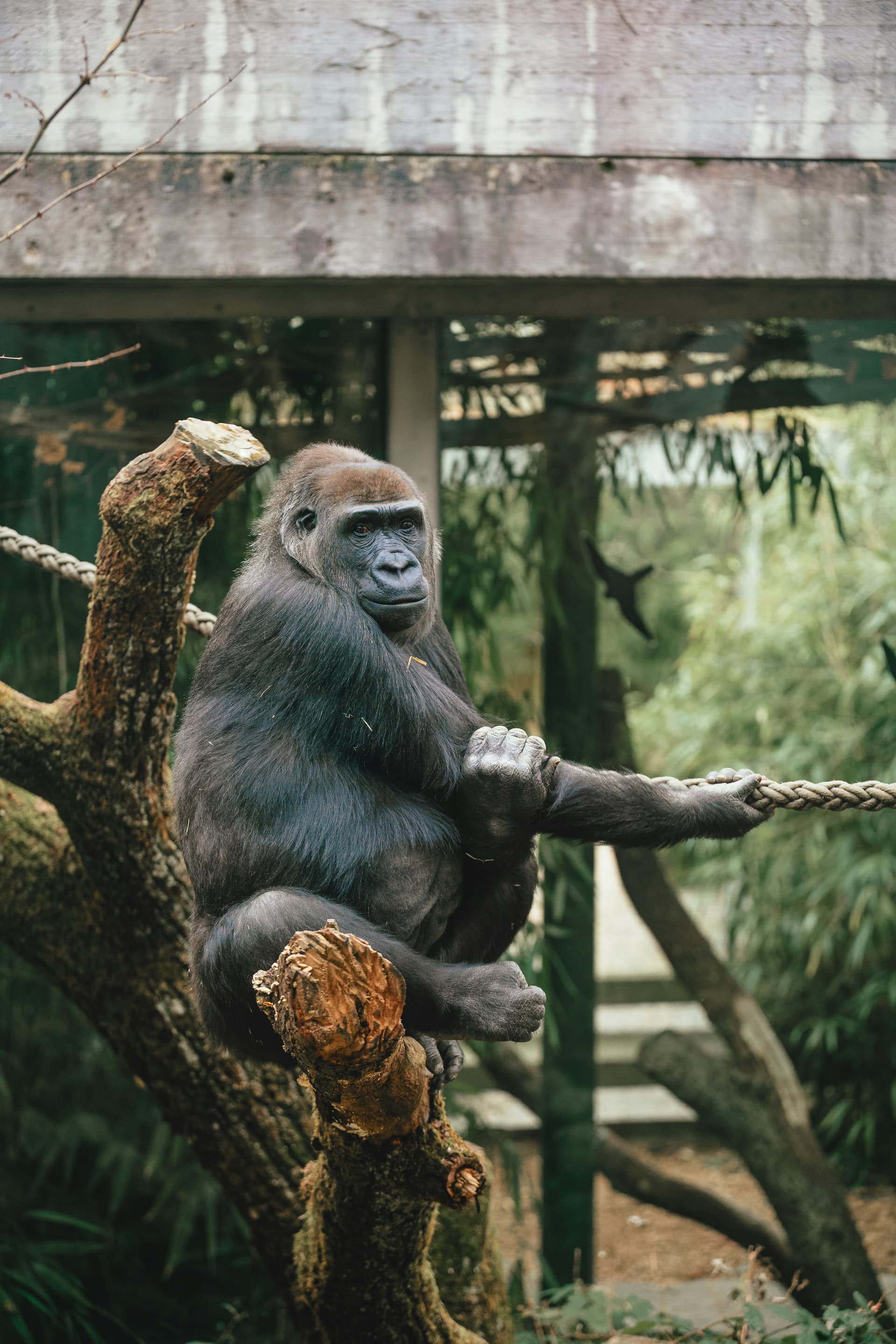 Zürich Zoo Entdecken mit uns!