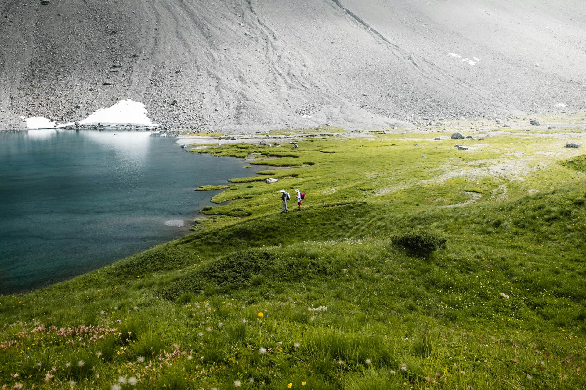 Arosa